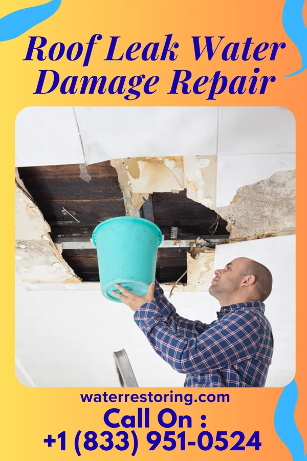 Roof Leak Water Damage Repair in Plevna, MT